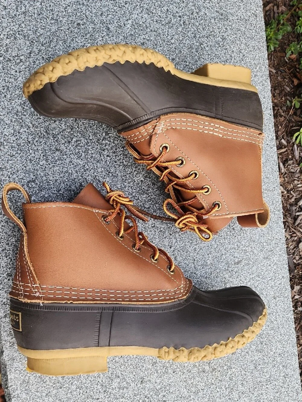 LL Bean 6